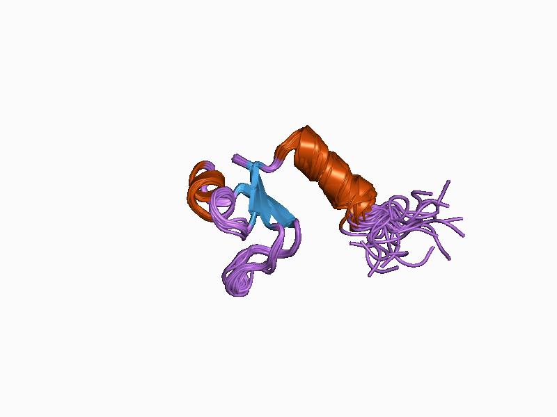 Cartoon ribbon rendering of the NTL9 protein, PDB structure 1cqu